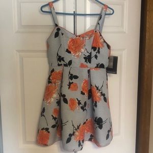 Mink Pink Dress